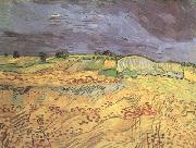 Vincent Van Gogh The Fields (nn04) Sweden oil painting artist